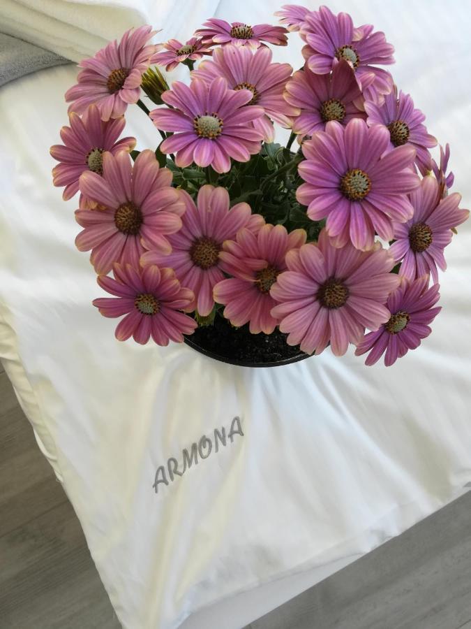 דירות אוסטקה Armona מראה חיצוני תמונה